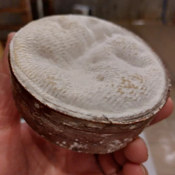 hegedus-sajtiskola-mont d'or hegedus-sajtiskola-mont d'or