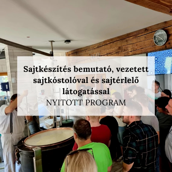 sajtkeszites-bemutato-vezetett-sajtkostoloval-es-sajterlelo-latogatassal-nyitott-program