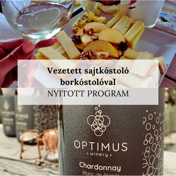hegedus-sajtmuhely-vezetett-sajtkostolo-borkostoloval-optimus