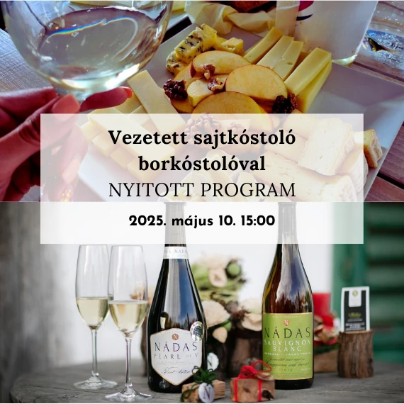 hegedus-sajtmuhely-vezetett-sajtkostolo-borkostoloval-nadas