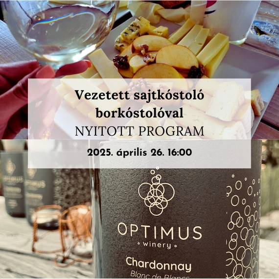 hegedus-sajtmuhely-vezetett-sajtkostolo-borkostoloval-optimus